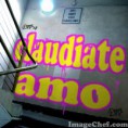 /album/fotogaleria/samp0af9a90460ff98c7-jpg/